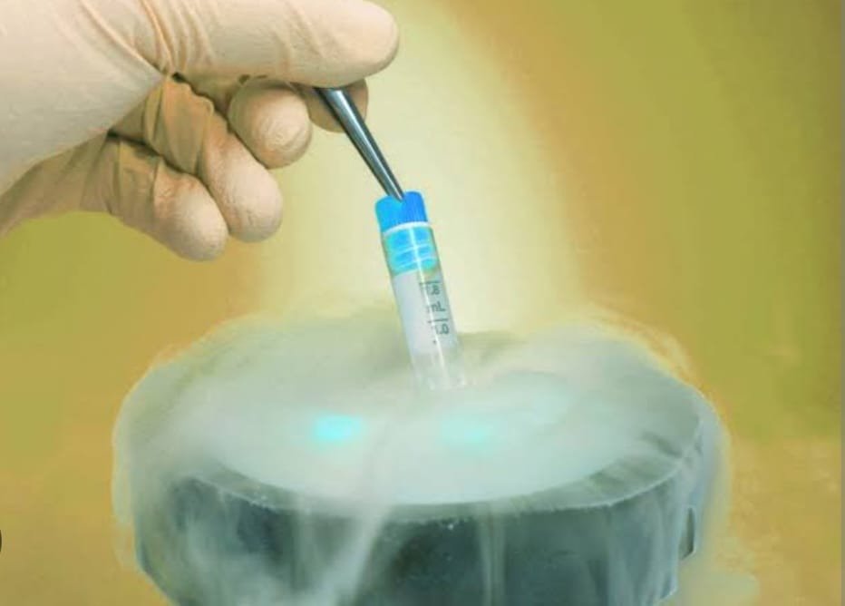 Fertility Preservation